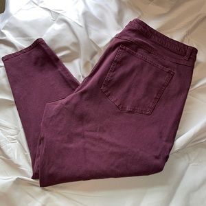 Lane Bryant Women’s Jeans.